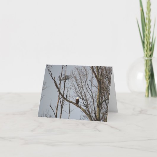 Bald Eagle and Blackhawk Notecard - Blank Inside Bedankkaart (Voorkant)