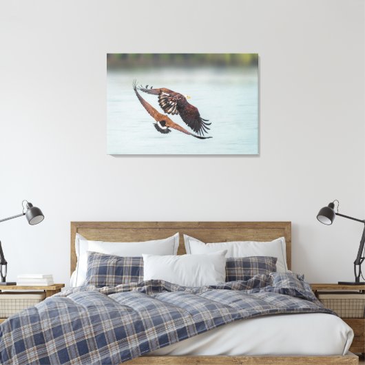 Bald Eagle and Goose Nature Wildlife Fine Art Canvas Afdruk (Insitu (Slaapkamer))
