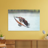 Bald Eagle and Goose Nature Wildlife Fine Art Canvas Afdruk (Insitu (Woonkamer))