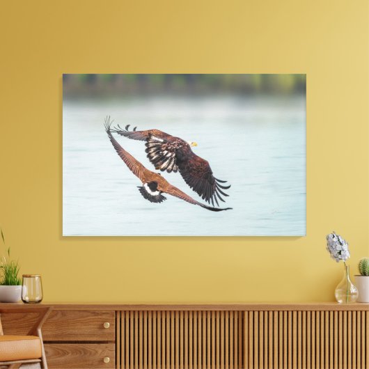 Bald Eagle and Goose Nature Wildlife Fine Art Canvas Afdruk (Insitu (Woonkamer))