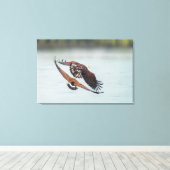 Bald Eagle and Goose Nature Wildlife Fine Art Canvas Afdruk (Insitu (Houten vloer))