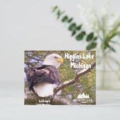 Bald Eagle at Higgins Lake, Michigan Feestdagenkaart (Staand voorkant)