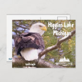 Bald Eagle at Higgins Lake, Michigan Feestdagenkaart (Voorkant / Achterkant)