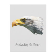 Bald Eagle Audacity & Rush aanpasbaar