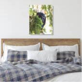 Bald Eagle baarst in Douglas Fir Canvas Afdruk (Insitu (Slaapkamer))