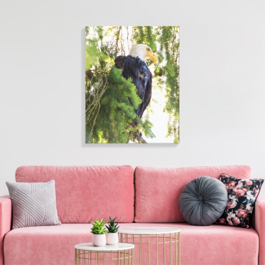 Bald Eagle baarst in Douglas Fir Canvas Afdruk (Insitu (Woonkamer))