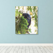 Bald Eagle baarst in Douglas Fir Canvas Afdruk (Insitu (Houten vloer))