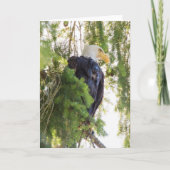 Bald Eagle baarst in Douglas Fir Kaart (Voorkant)