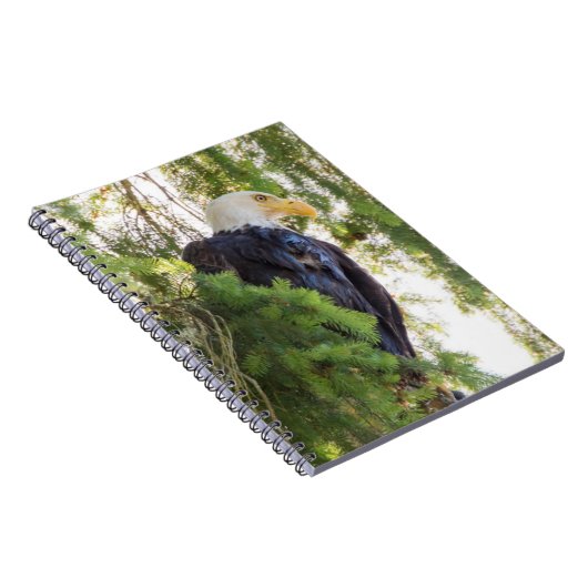 Bald Eagle baarst in Douglas Fir Notitieboek (Rechterzijde)