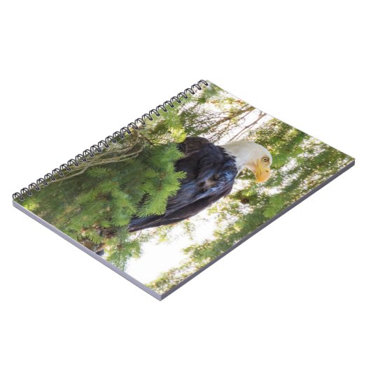 Bald Eagle baarst in Douglas Fir Notitieboek (Linkerzijde)