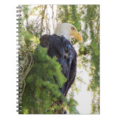 Bald Eagle baarst in Douglas Fir Notitieboek (Voorkant)
