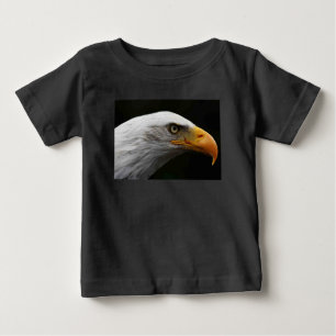Bald Eagle Baby cn