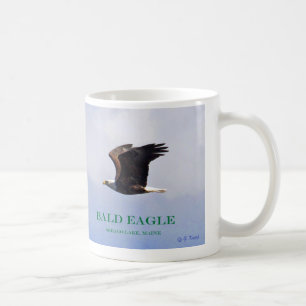Bald Eagle baby, spread-eagle en mama in vlucht Koffiemok