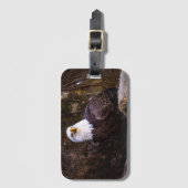 Bald Eagle Bagagelabel (Voorkant (verticaal))
