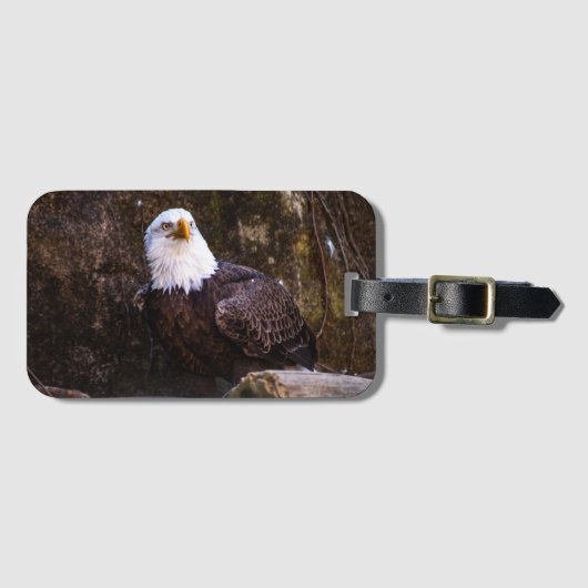 Bald Eagle Bagagelabel (Voorkant (horizontaal))