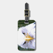 Bald Eagle Bagagelabel (Voorkant verticaal)