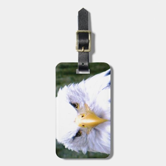 Bald Eagle Bagagelabel (Voorkant verticaal)