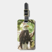 Bald Eagle Bagagelabel (Voorkant verticaal)