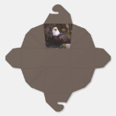 Bald Eagle Bedankdoosjes (Ongevouwen)