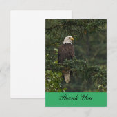 Bald Eagle Bedankkaart (Voorkant / Achterkant)