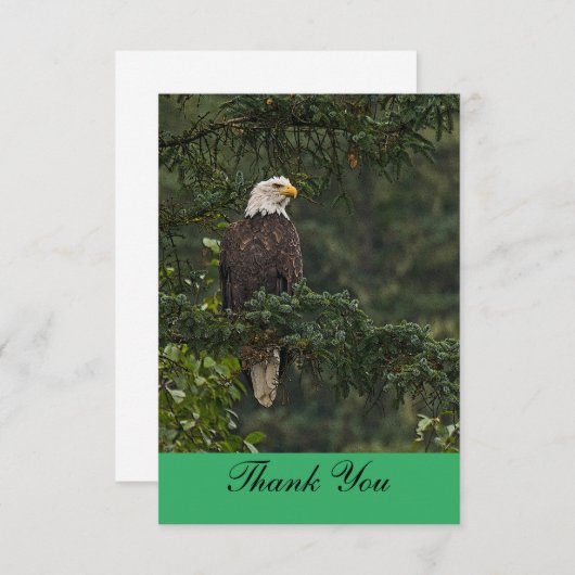 Bald Eagle Bedankkaart (Voorkant / Achterkant)