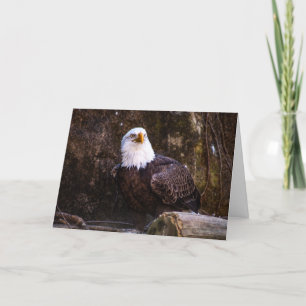 Bald Eagle Bedankkaart