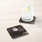 Bald Eagle Beverage Coaster Bier Onderzetter (Rechterzijde)