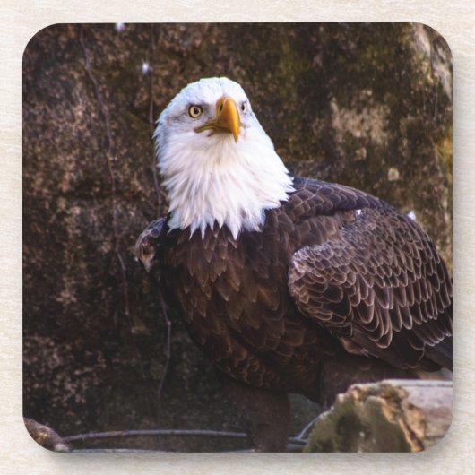 Bald Eagle Beverage Coaster Bier Onderzetter (Voorkant)