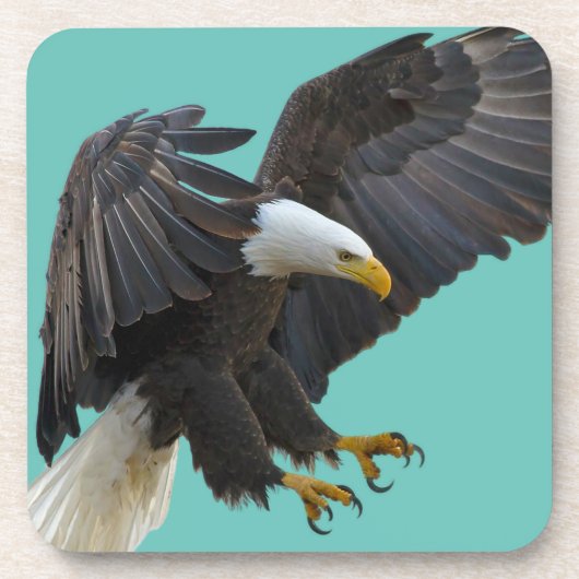 Bald eagle bier onderzetter (Voorkant)