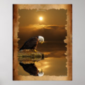 Bald Eagle bij Sunset Gratitude Series Poster (Voorkant)