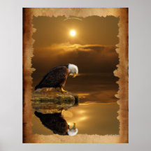 Bald Eagle bij Sunset Gratitude Series
