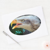 Bald Eagle Bin Stickers (Envelop)