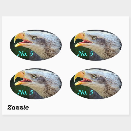 Bald Eagle Bin Stickers (Vel)