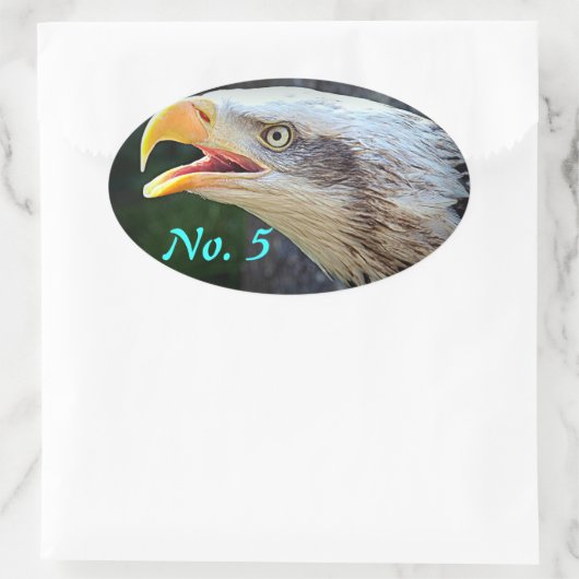 Bald Eagle Bin Stickers (Tas)