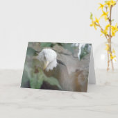 Bald Eagle Bird Bedankt, Opmerking Kaart (Gele Bloem)