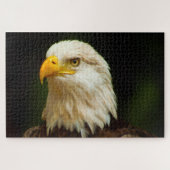 Bald Eagle Bird of Prey. Jigzaag Puzzle Legpuzzel (Horizontaal)