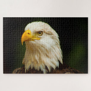 Bald Eagle Bird of Prey. Jigzaag Puzzle Legpuzzel