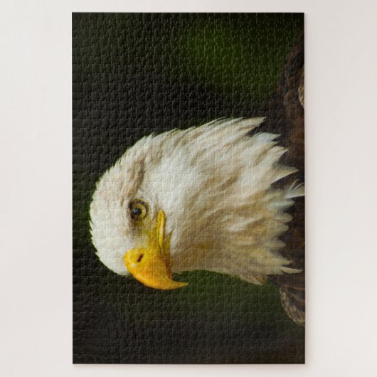 Bald Eagle Bird of Prey. Jigzaag Puzzle Legpuzzel (Verticaal)