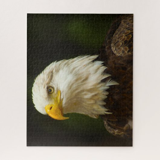 Bald Eagle Bird of Prey. Legpuzzel (Verticaal)
