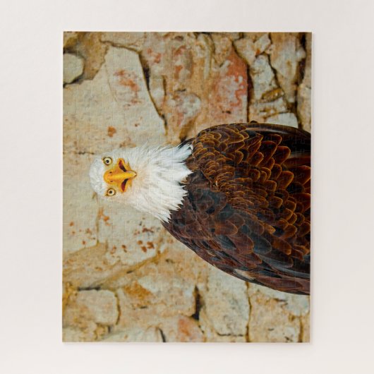 Bald Eagle Bird of Prey. Legpuzzel (Verticaal)