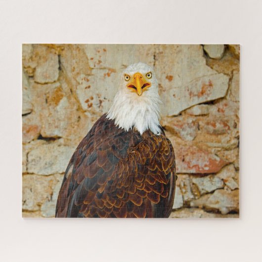 Bald Eagle Bird of Prey. Legpuzzel (Horizontaal)