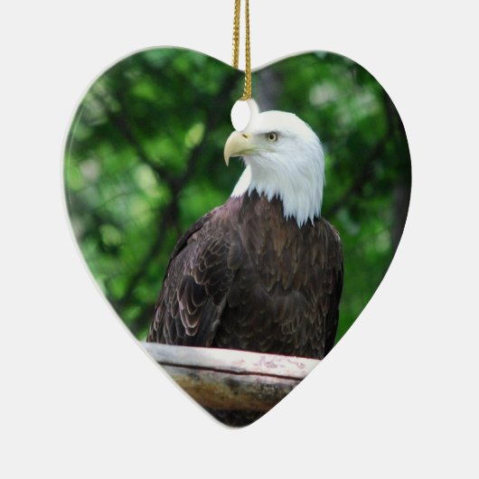 Bald Eagle Bird Ornament (Rechts)
