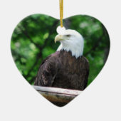 Bald Eagle Bird Ornament (Voorkant)