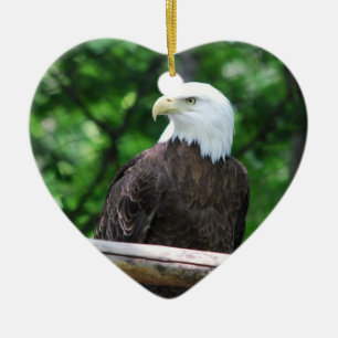 Bald Eagle Bird Ornament