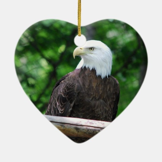 Bald Eagle Bird Ornament (Achterkant)