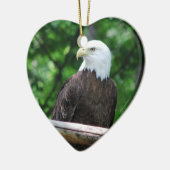 Bald Eagle Bird Ornament (Links)