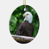 Bald Eagle Bird Ornament (Rechts)
