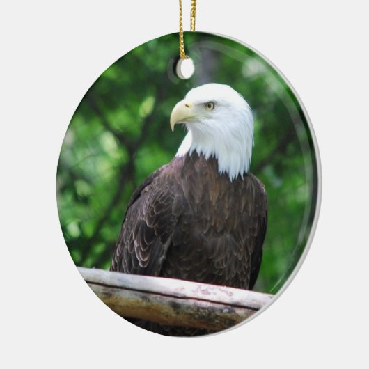 Bald Eagle Bird Ornament (Links)