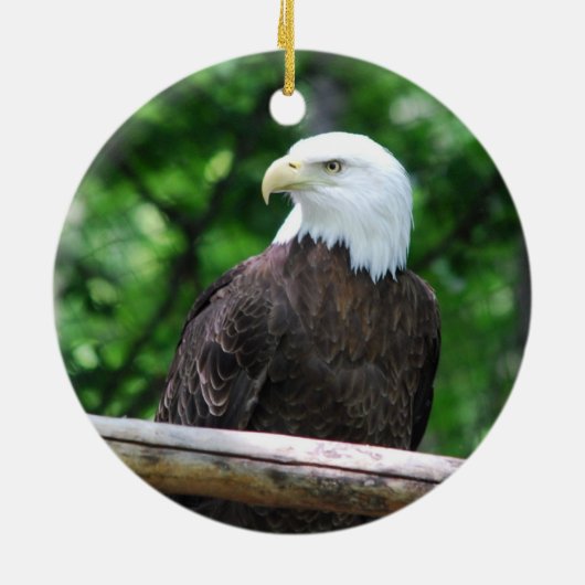 Bald Eagle Bird Ornament (Achterkant)