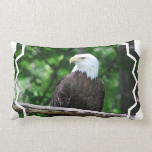 Bald Eagle Bird Pillow Kussen